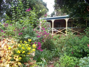 Colourful Spring Flowering, "The Shambles" North facing back verandah